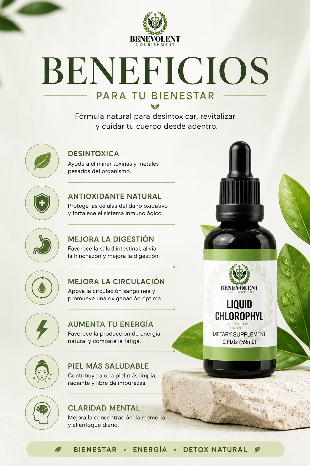 Clorofila Benevolent -  Ayuda a sentir tu abdomen más ligero cada día